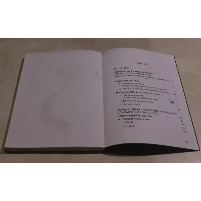 Nhận thức về biển và các nhà cải cách Việt Nam thế kỷ XIX 991210