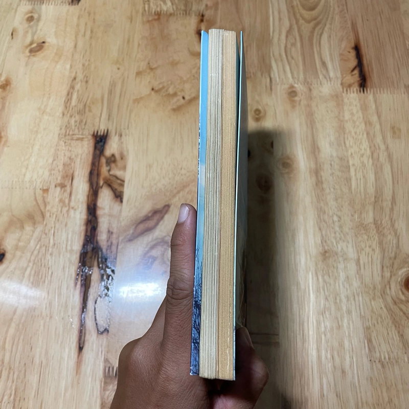 II Tựa sách : Chìa Khoá Của Thành Công - TS. G. Francis Xavier & Nguyễn Thành Nhân - 2016 474075