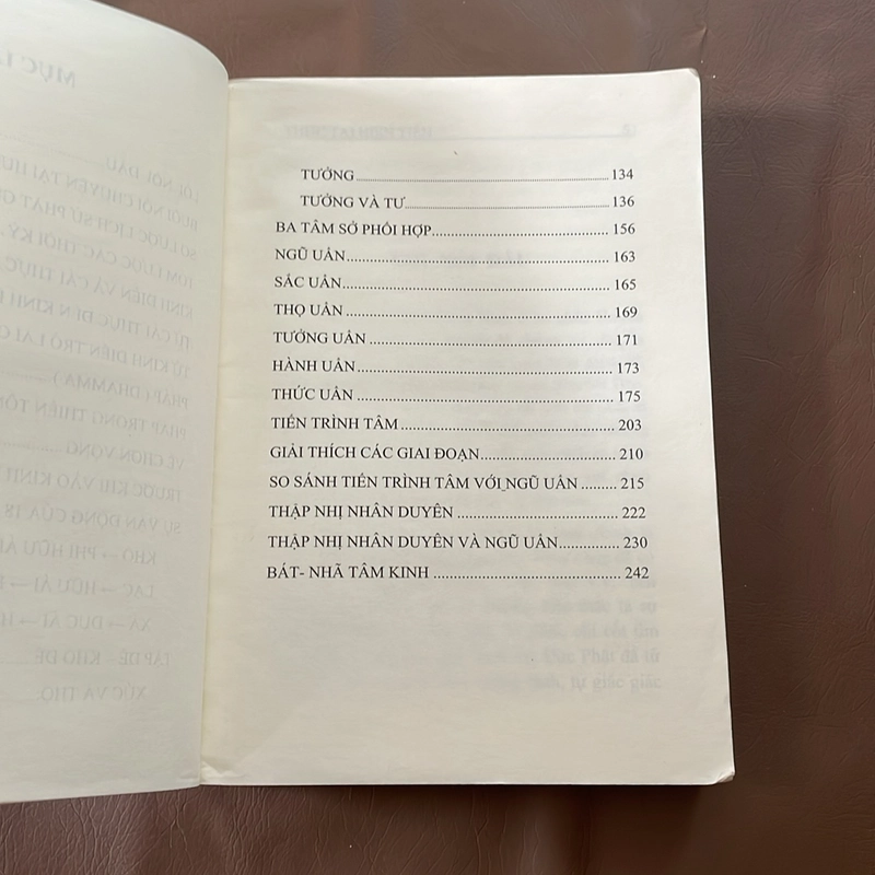 II Tựa sách: Thực Tại Hiện Tiền - Viên Minh 523418