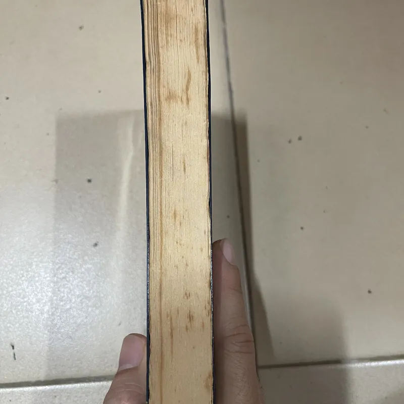 Văn Mới 2012 - 2013 - Tuyển Văn Xuôi Của Tác Giả Mới Và Tác Giả Đang Được Mến Mộ (c) 740479