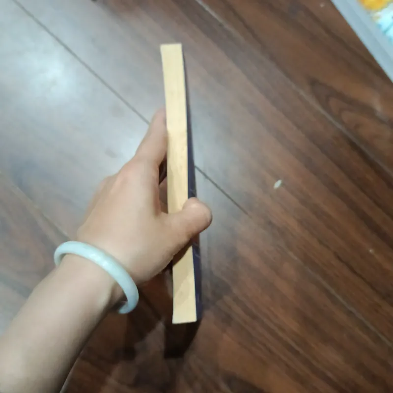 Thuyền trưởng 15 tuổi 966489