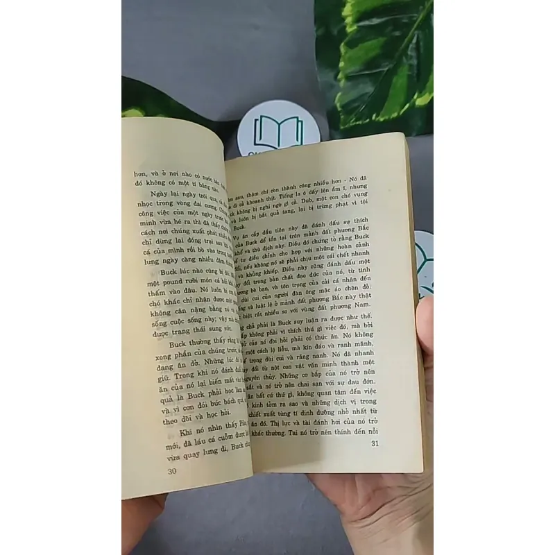 Tiếng Gọi Nơi Hoang Dã (1996) - Jack London 604594