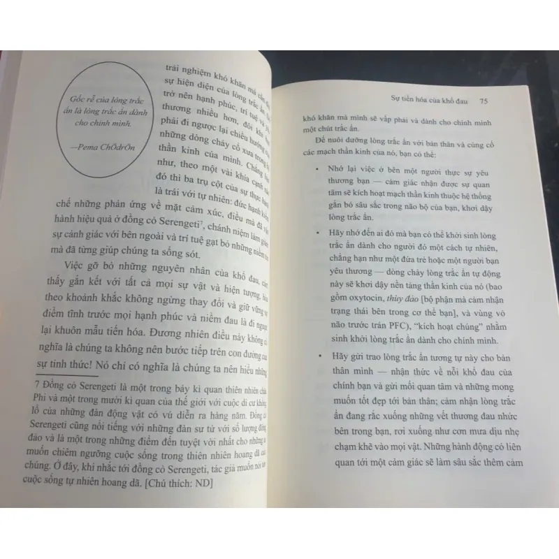 Bộ não của Phật - Hạnh phúc, Tình Thương và Trí tuệ 736981