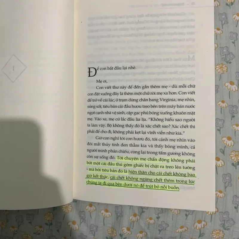 Một thoáng ta rực rỡ ở nhân gian - Ocean Vương 747584