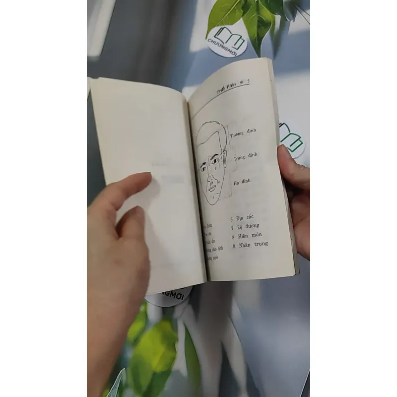 Tìm Hiểu Nhân Tướng Học - Trúc Viên 776142