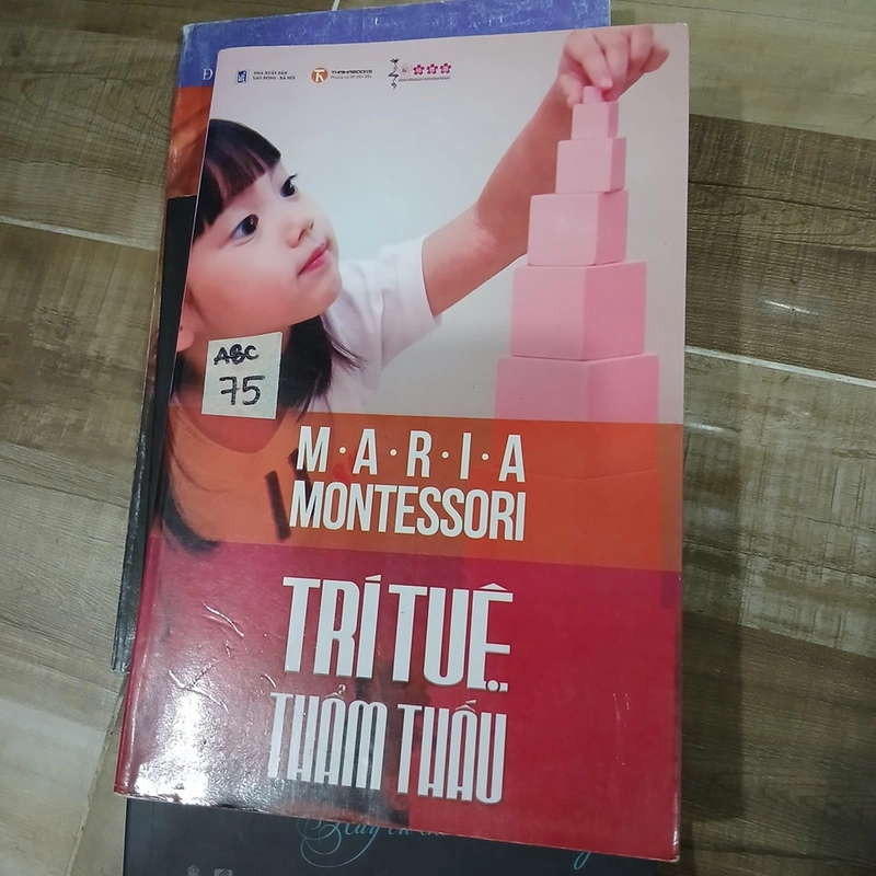 Trí tuệ thẩm thấu - Maria Montessori 316336