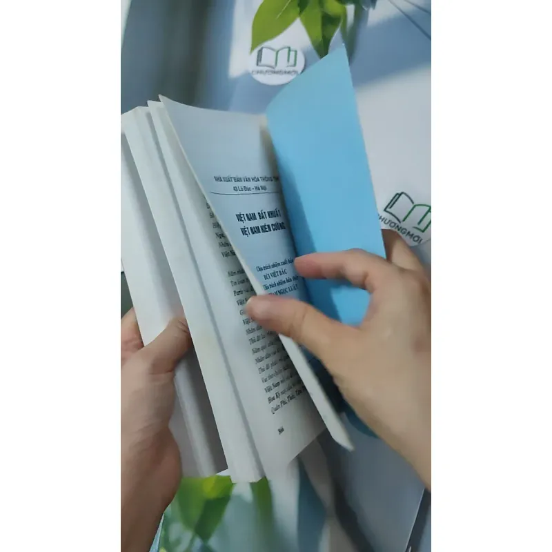 Việt Nam Bất Khuất - Việt Nam Kiên Cường - Hồng Lam Vũ Đình Hệ 928612