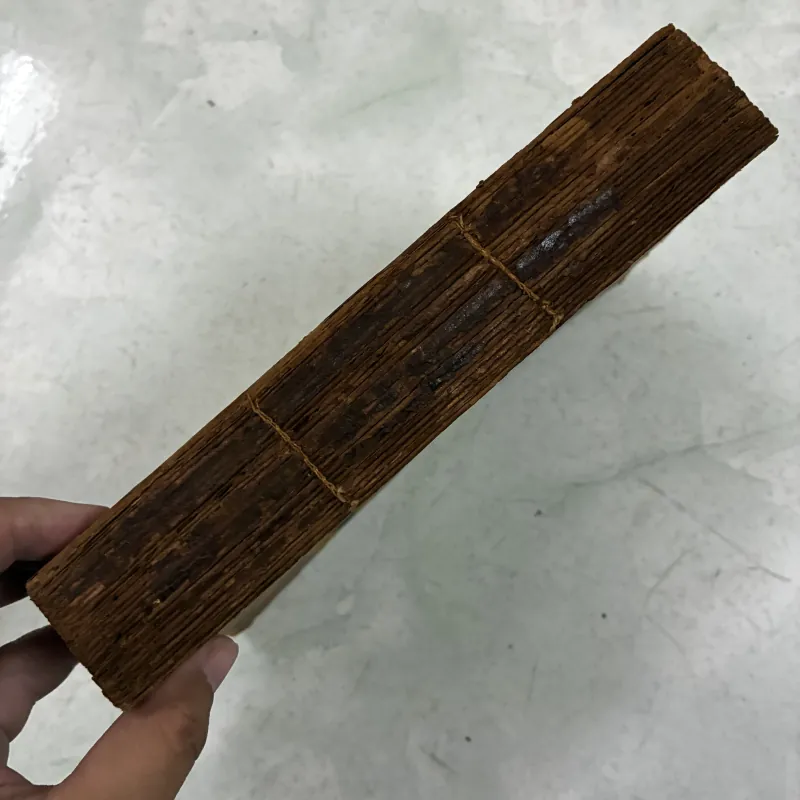 Papilon người tù khổ sai (Tập 1) 1029676