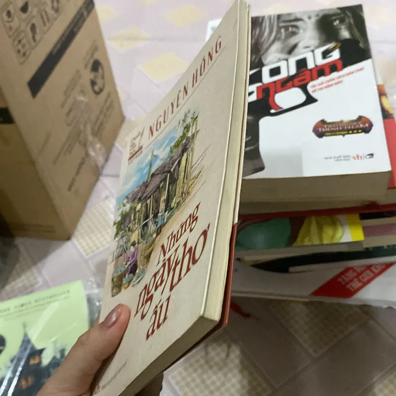 Những ngày thơ ấu Nguyễn Hồng  723329