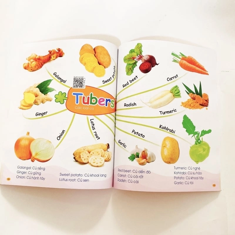 Sách Chinh Phục Từ Vựng Tiếng Anh - Theo Sơ Đồ Tư Duy Mind Map Hơn 2000 Từ  ( Kèm File Nghe Tiếng Anh) 531108