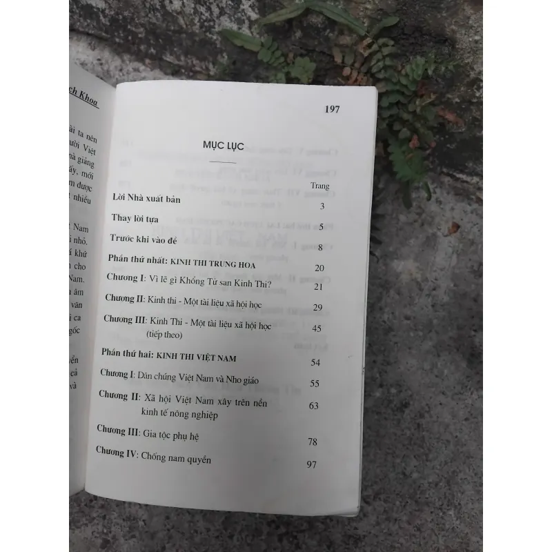 Kinh thi Việt Nam  1025126