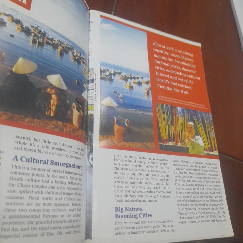 lonely planet - VIETNAM (sách hướng dẫn du lịch) 476852