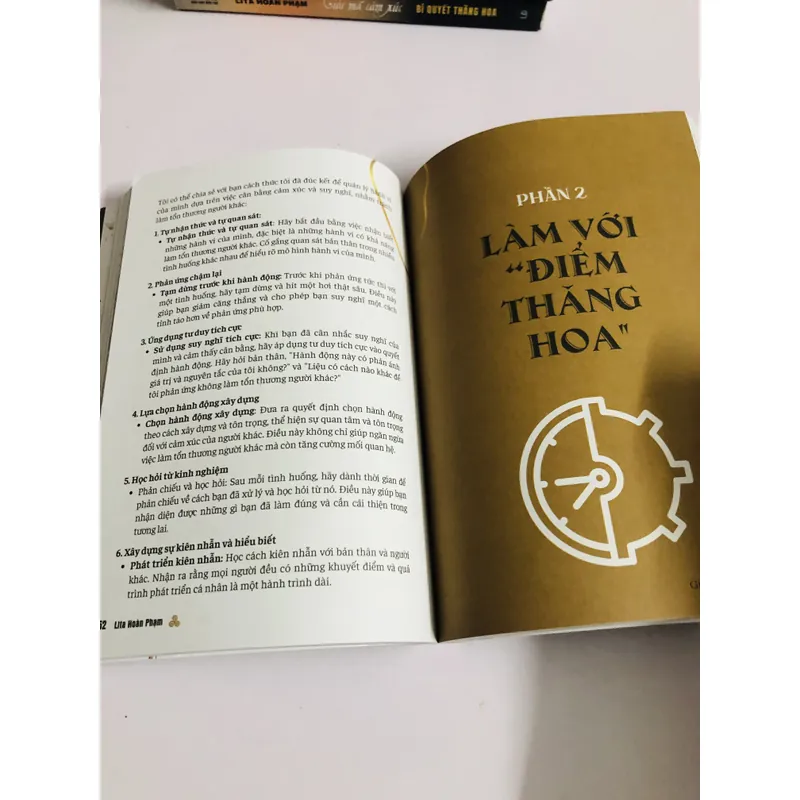 📚 GIẢI MÃ CẢM XÚC – BÍ QUYẾT THĂNG HOA (Lita Hoàn Phạm) 726091