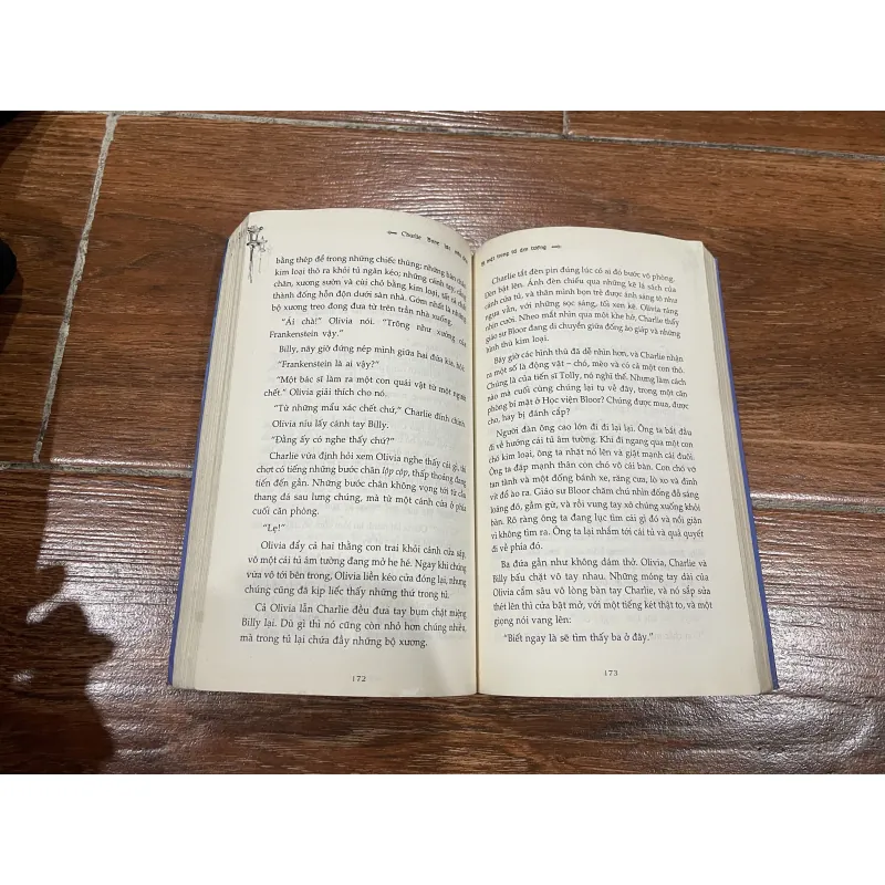 Charlie Bone tập 1  799555