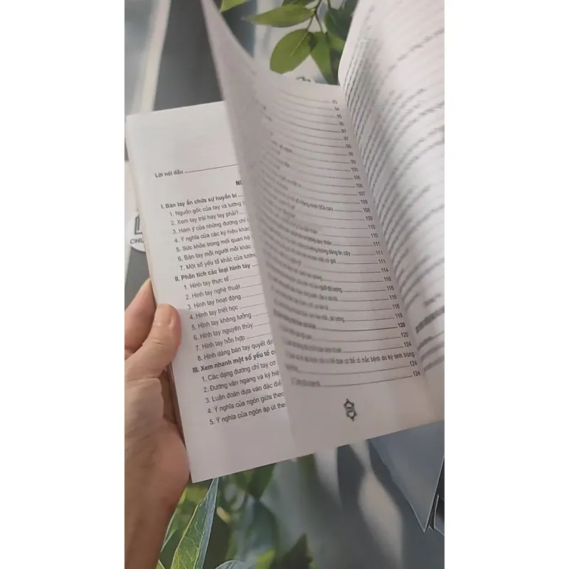 Khám Phá Bí Mật Khuôn Mặt Và Bàn Tay - Từ Liêm 928504