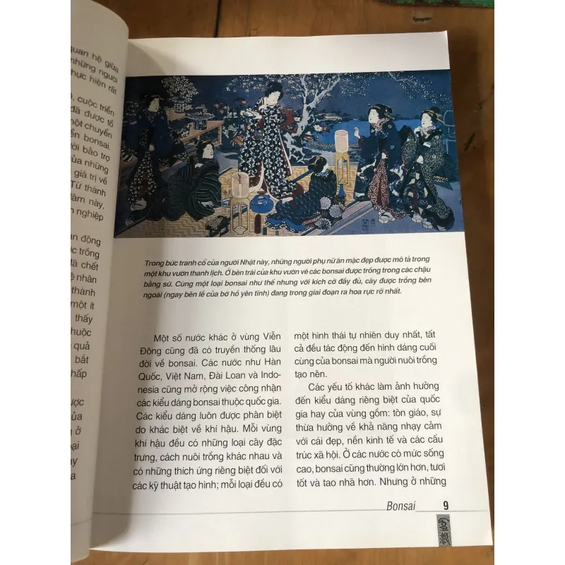 Cẩm nang bonsai 973871
