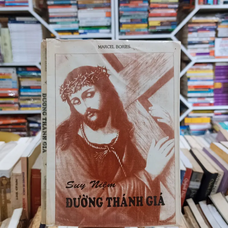Suy niệm đường thánh giá 🌻 571259