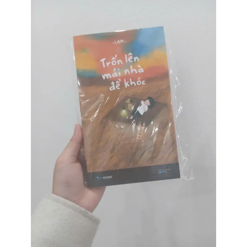 Trốn lên mái nhà để khóc 969933