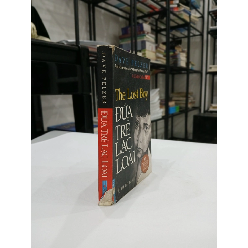 Đứa Trẻ Lạc Loài - Dave Pelzer 544514