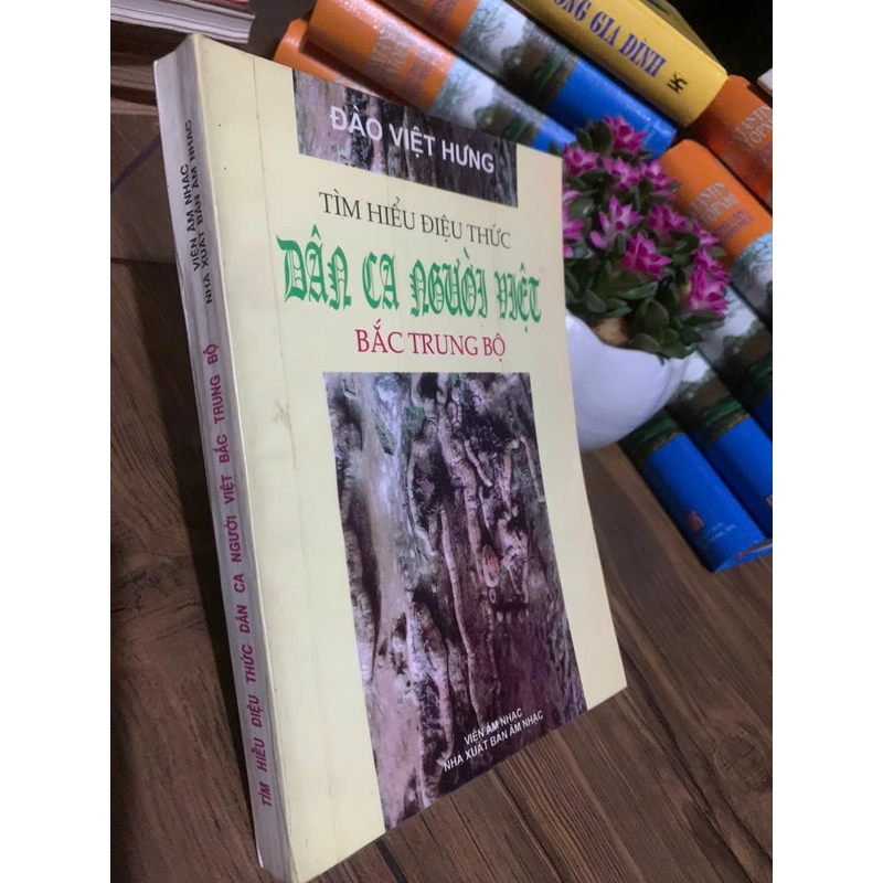 Mình hiểu điệu thức dân ca người Việt Bắc Trung Bộ  _ Đàd Việt Hưng _ 1999  359108