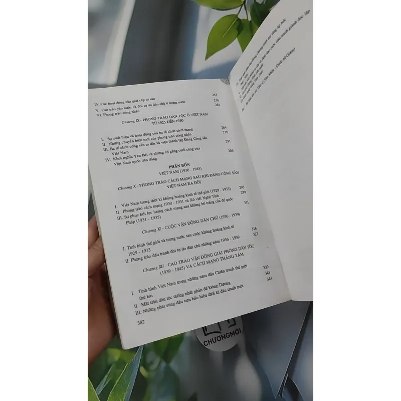 Đại Cương Lịch Sử Việt Nam 2 - Đinh Xuân Lâm 970272