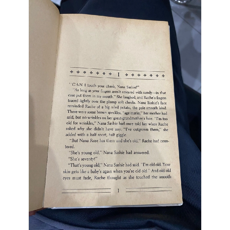 The Night Journey - Kathryn Lasky 498630