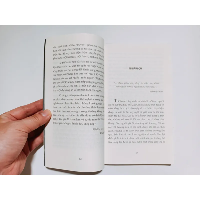 Tháp Kền Kền - Hoàng Long 734572