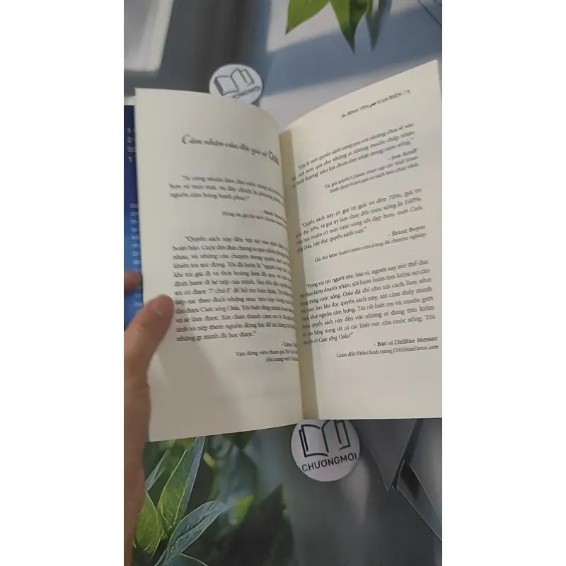 Tìm Bình Yên Giữa Vạn Biến - Dave Braun & Troy Amdahl 961253