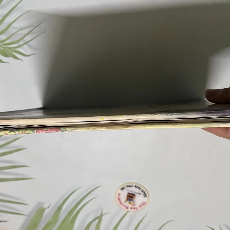 Fairy Secrets – A Magical Secret Envelope Book 690033