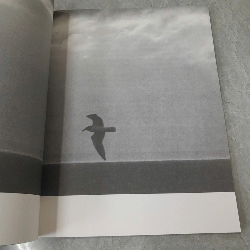 JONATHAN LIVINGSTON SEAGULL - RICHARD BACH 538932