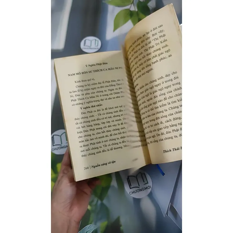 Nguồn Sáng Vô Tận - Thích Thái Hòa 990452