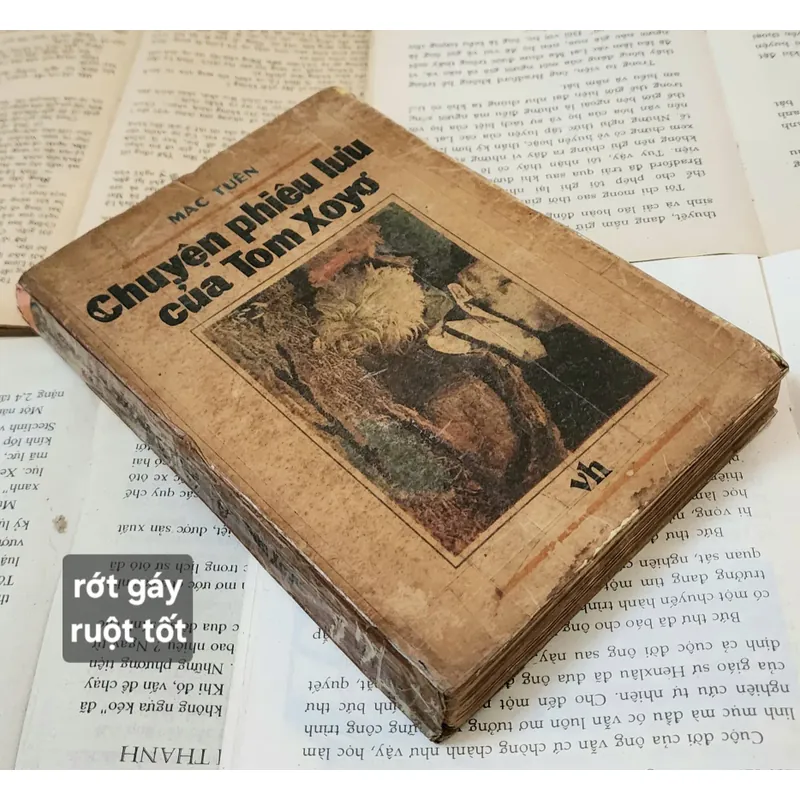 NHỮNG CUỘC PHIÊU LƯU CỦA TOM SAWYER - Mark Twain 716287