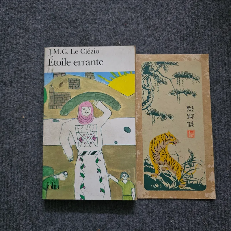 Étoile errante - Le Clezio 740742