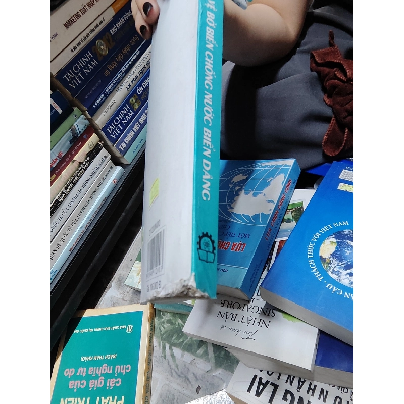 Bảo vệ bờ biển chống nước biển dâng - Tôn Thất Vĩnh 358444
