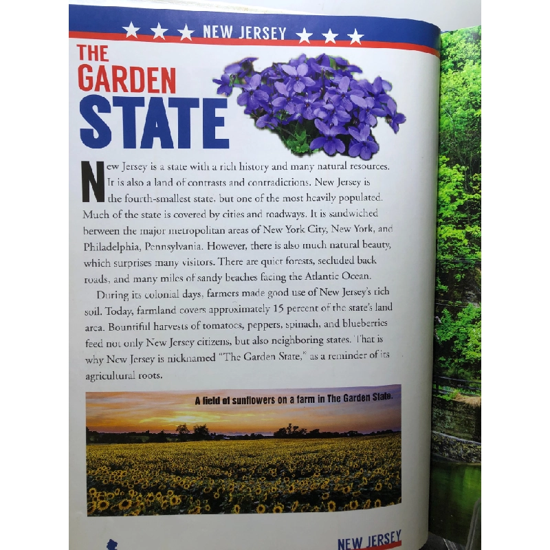New Jersey The Garden State The United States of America BÌA CỨNG mới 85% bẩn nhẹ John Hamilton HPB2707 NGOẠI VĂN 458543