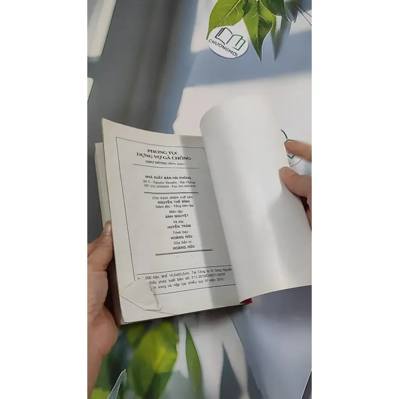 Phong Tục Dựng Vợ Gả Chồng - Như Hùng 776135