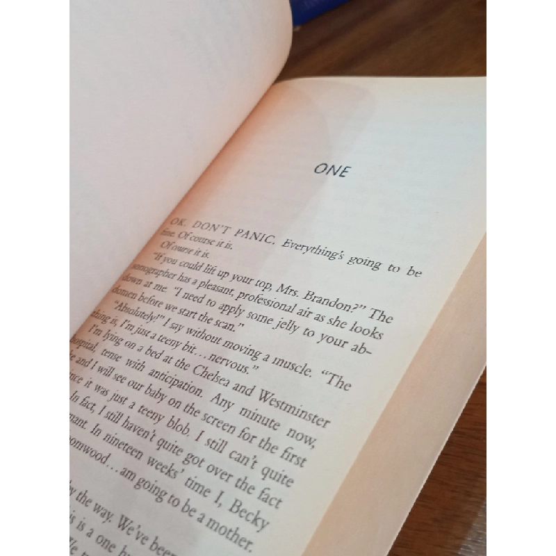 Shopaholic & Baby - Sophie Kinsella 509842