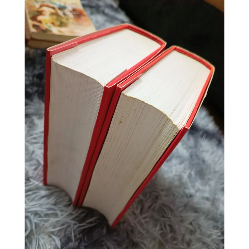 Thủy hử Truyện diễn nghĩa (Bản dịch Tử Vi Lang) 934700