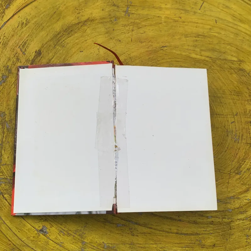 TỔNG TẬP ĐẠI TƯỚNG NGUYỄN CHÍ THANH ( hai cuốn)- nhiều tác giả  784181