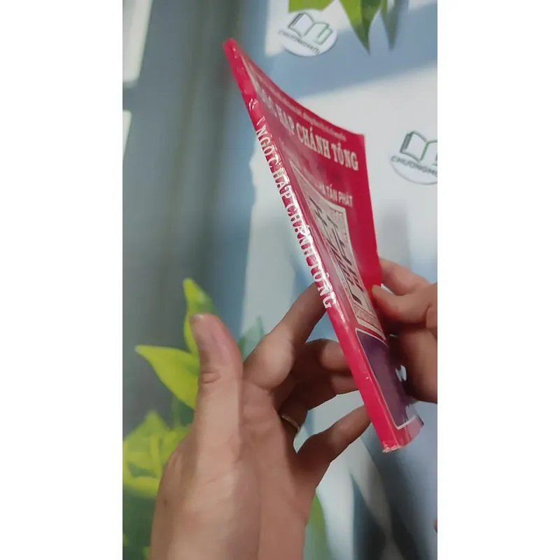 Ngọc Hạp Chánh Tông - Viên Tài - Hà Tấn Phát 776198