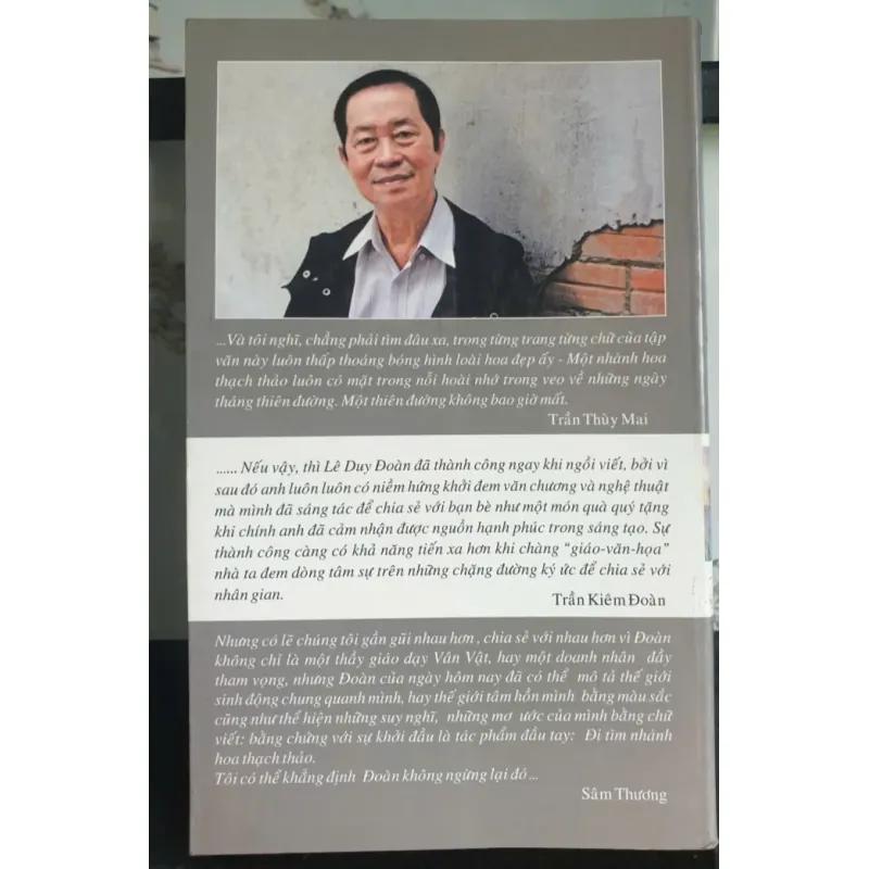 Đi Tìm Nhành Hoa Thạch Thảo 694440