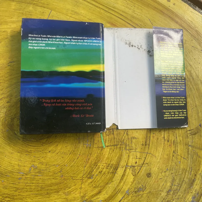 HAI ANH EM RẮN VÀ CHÚ BÉ TAN - MARK LÊ TWAIN bìa cứng 798909