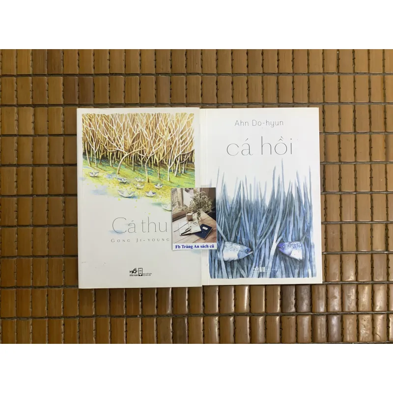 Cá hồi - Ahn Do Huyn, Cá thu - Gong Ji Young 455774