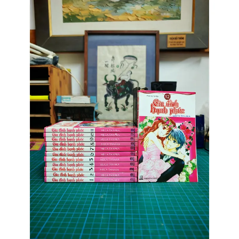 Truyện tranh Gia Đình Hạnh Phúc - Meca Tanaka 717771