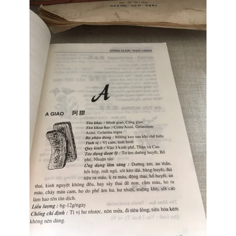 Đông dược thực hành 1001030