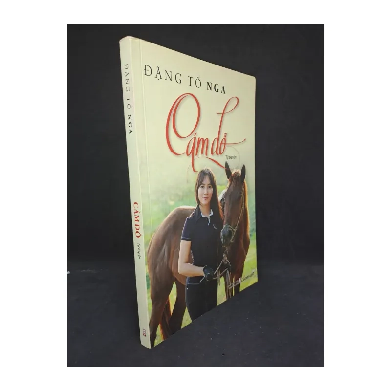 Cám Dỗ - Đặng Tố Nga 2019 979981