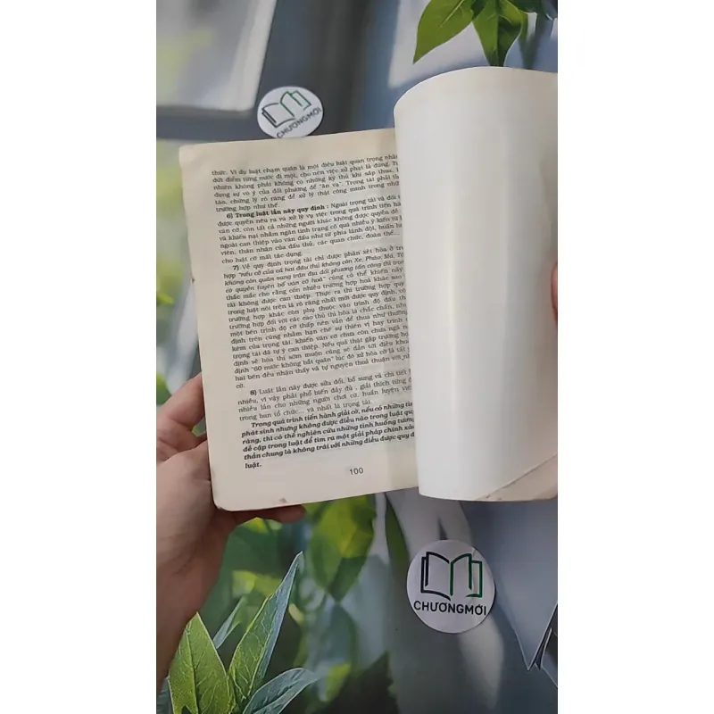 100 Câu Hỏi-Đáp Về Cờ - Tập 2 - Lê Chân Huy 997788
