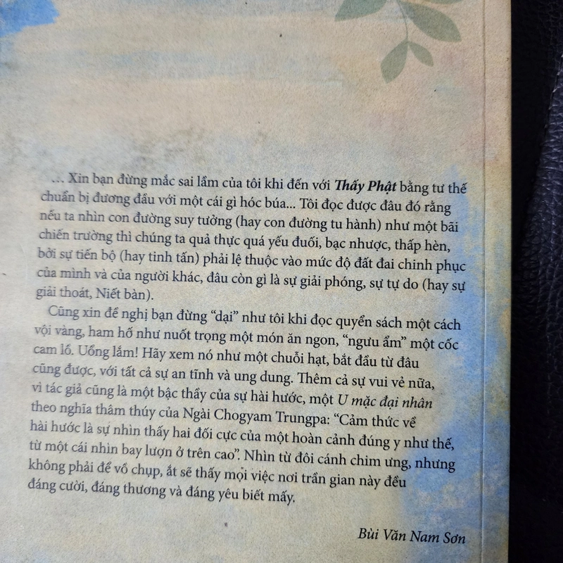 Thấy Phật | Cao Huy Thuần  493392