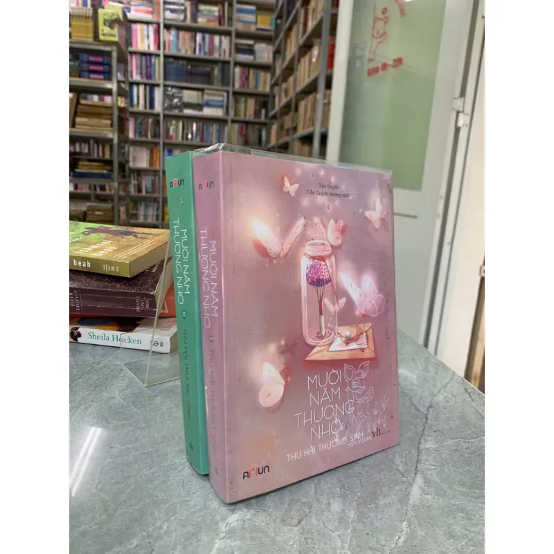 MƯỜI NĂM THƯƠNG NHỚ (2 TẬP) - THƯ HẢI THƯƠNG SINH 597230