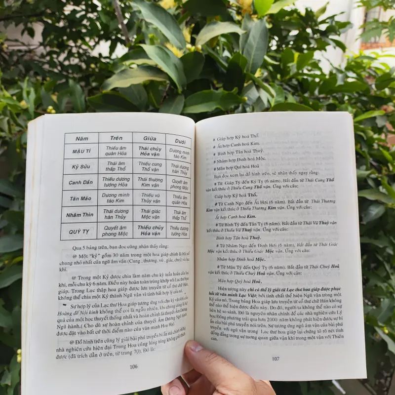 Thời Hùng Vương & Bí Ẩn Lục Thập Hoa Giáp - Nguyễn Vũ Tuấn Anh 722522